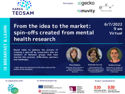 From the idea to the market: spin-offs created from mental health research