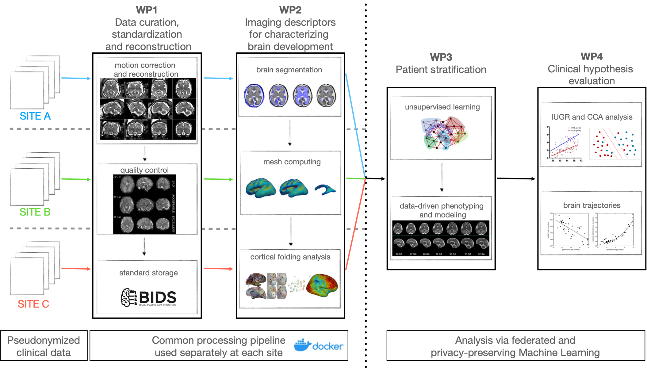 Neuroimaging analysis tools